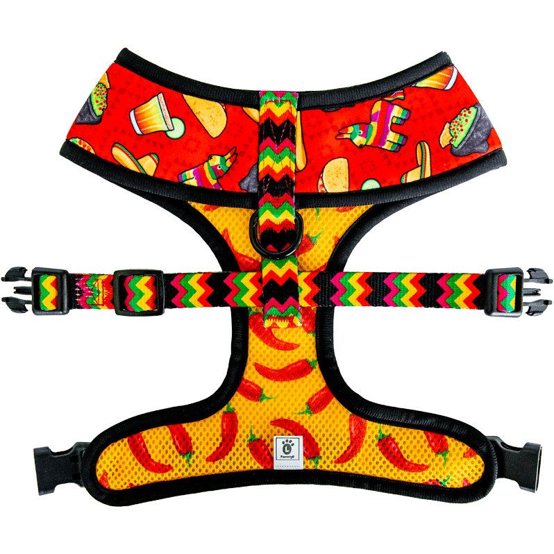 Taco Tuesday Reversible Harness - Southlake Paws