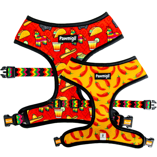Taco Tuesday Reversible Harness - Southlake Paws