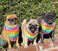 Load image into Gallery viewer, Tie-Dye For Cooling Bandana - Southlake Paws
