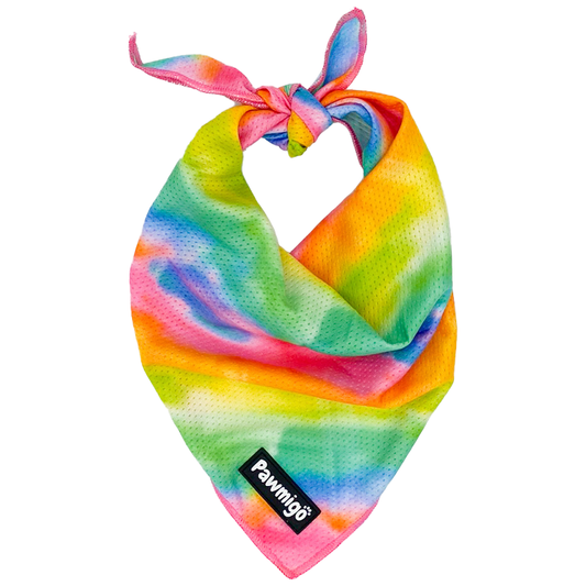 Tie-Dye For Cooling Bandana - Southlake Paws