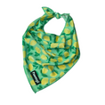 Load image into Gallery viewer, Worth The Squeeze Cooling Bandana - Southlake Paws
