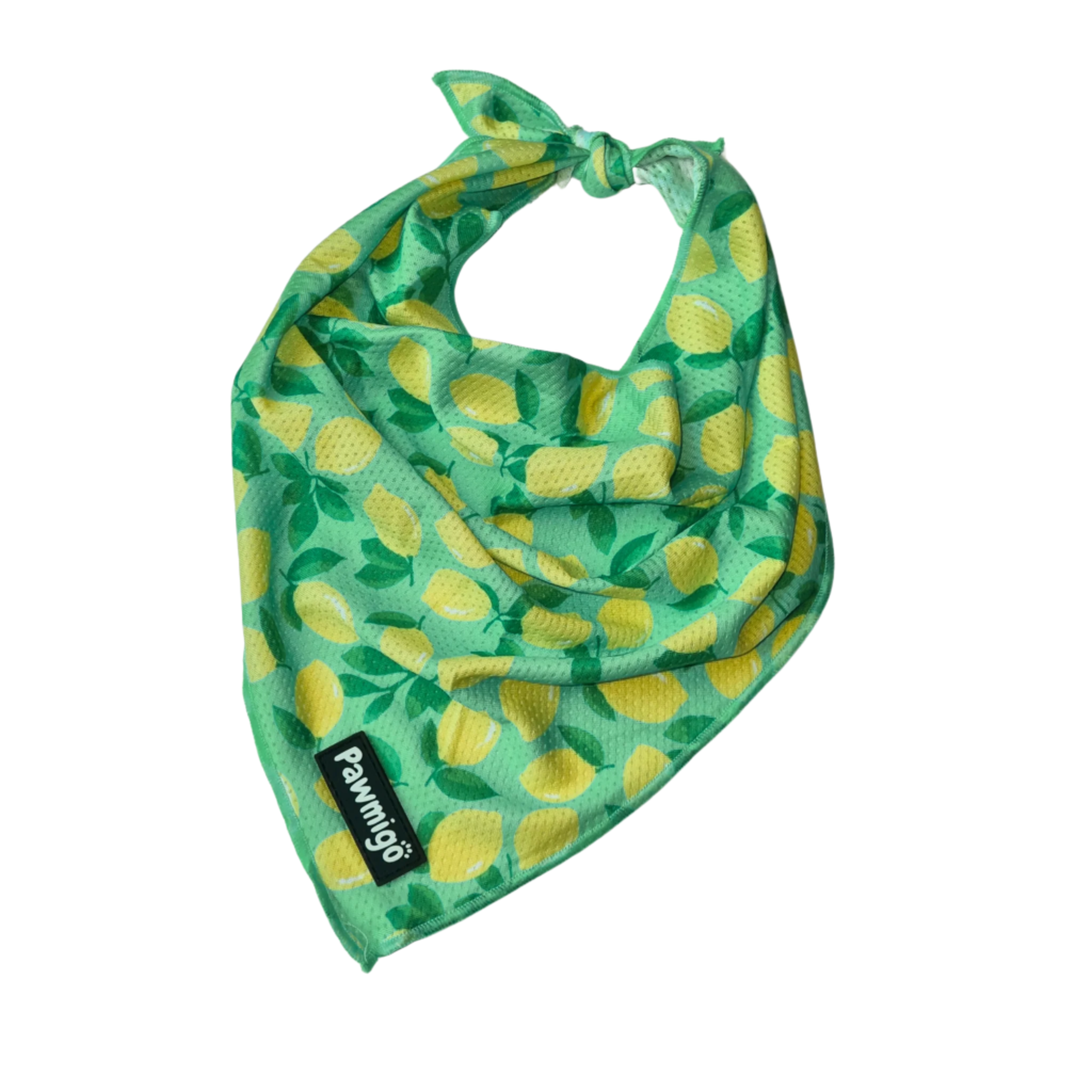 Worth The Squeeze Cooling Bandana - Southlake Paws
