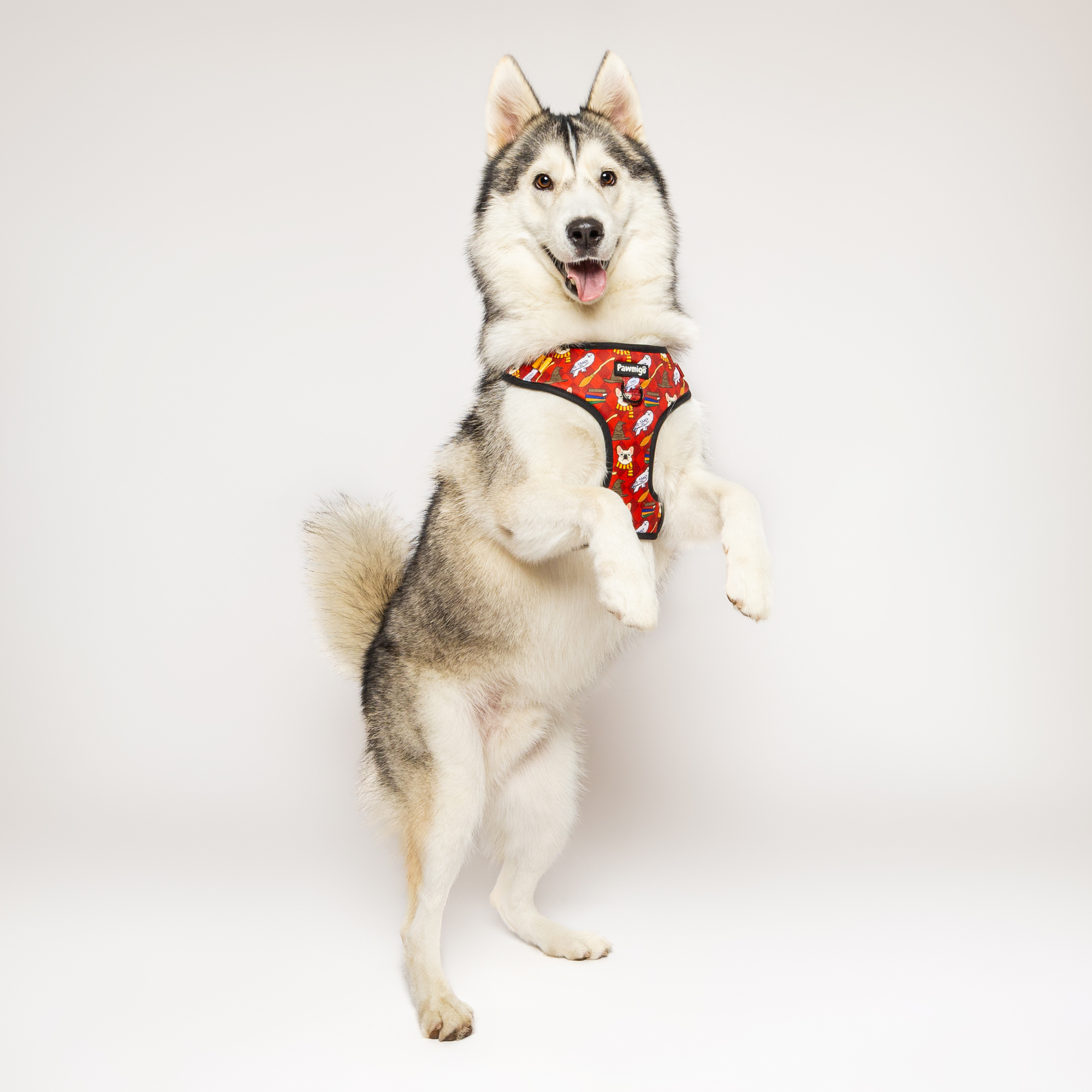 Pawgwarts Everyday Adjustable No-Pull Dog Harness - Southlake Paws