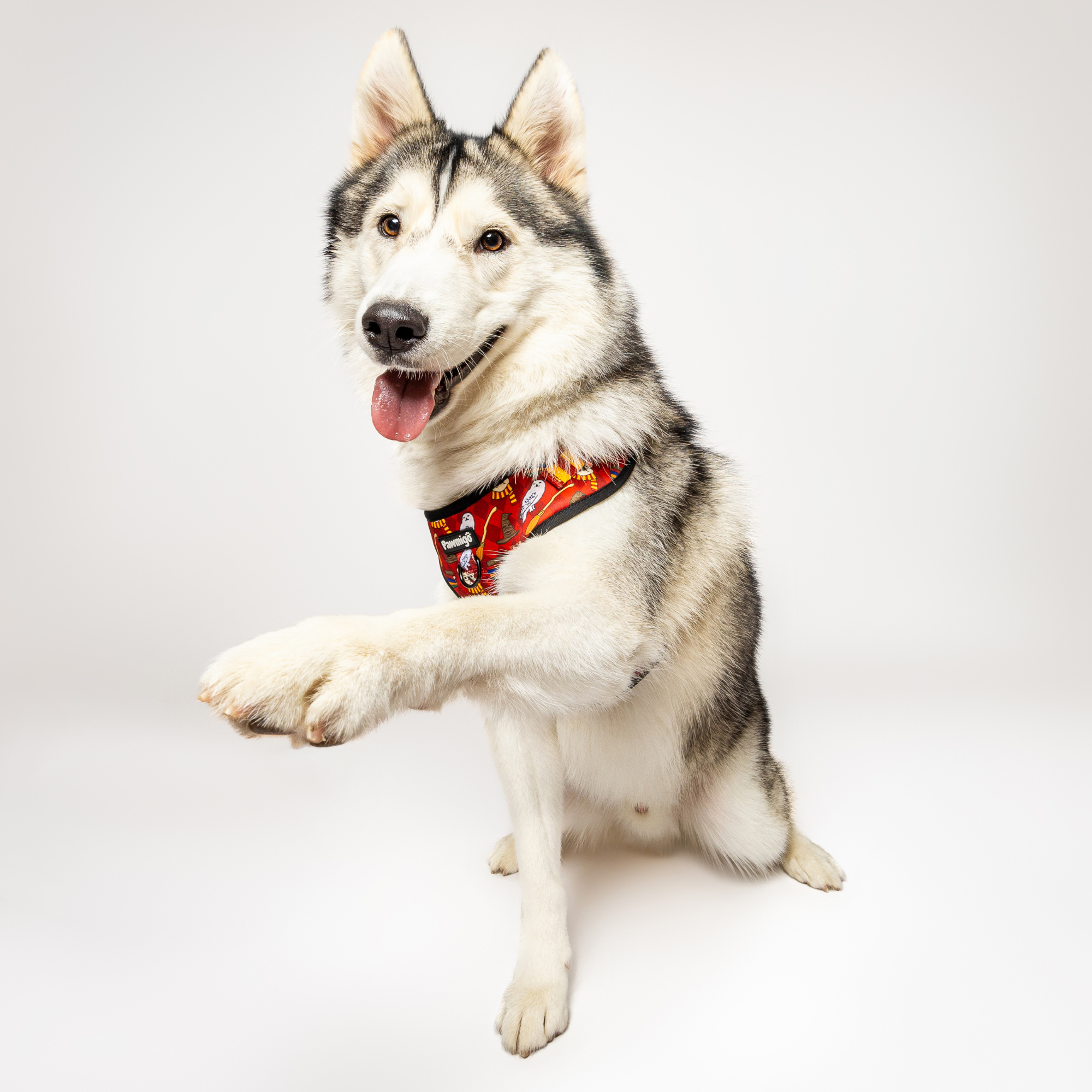 Pawgwarts Everyday Adjustable No-Pull Dog Harness - Southlake Paws