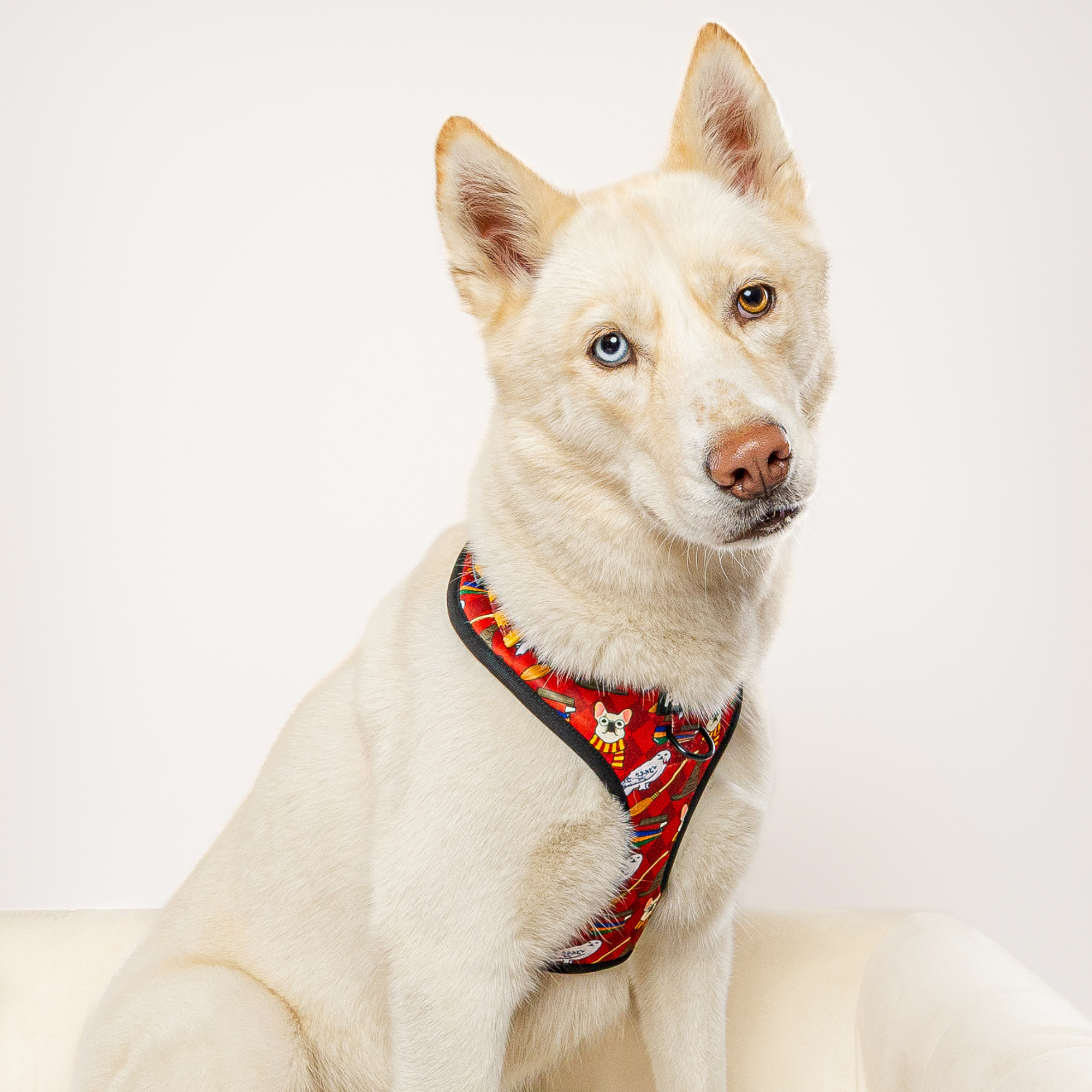 Pawgwarts Everyday Adjustable No-Pull Dog Harness - Southlake Paws