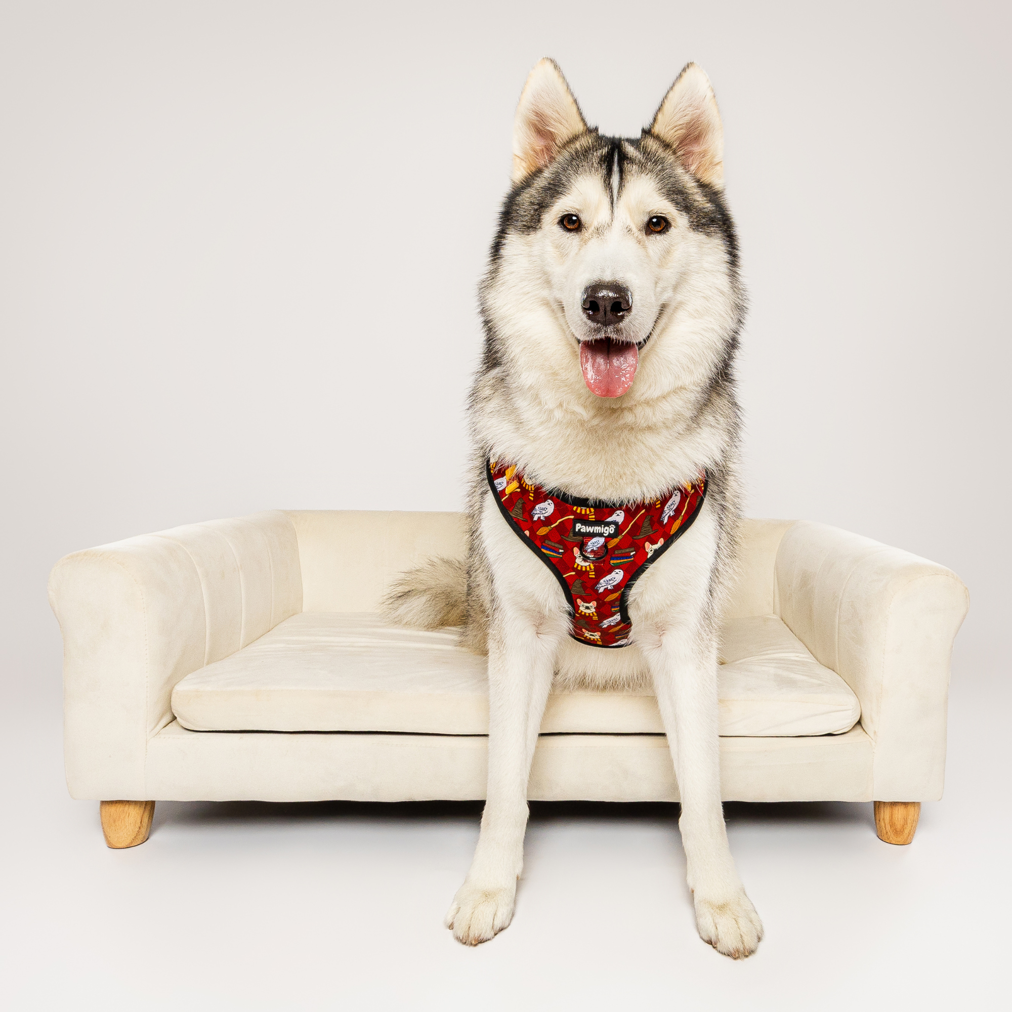 Pawgwarts Everyday Adjustable No-Pull Dog Harness - Southlake Paws