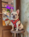 Load image into Gallery viewer, Pawgwarts Reversible Harness - Southlake Paws
