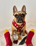 Load image into Gallery viewer, Pawgwarts Reversible Harness - Southlake Paws
