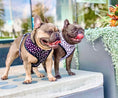 Load image into Gallery viewer, Polka Dog Reversible Harness - Southlake Paws
