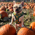 Load image into Gallery viewer, Pupkin Patch Reversible Harness - Southlake Paws
