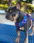Load image into Gallery viewer, Red, White & Bark Reversible Harness - Southlake Paws
