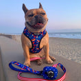 Load image into Gallery viewer, Red, White & Bark Leash Kit - Southlake Paws

