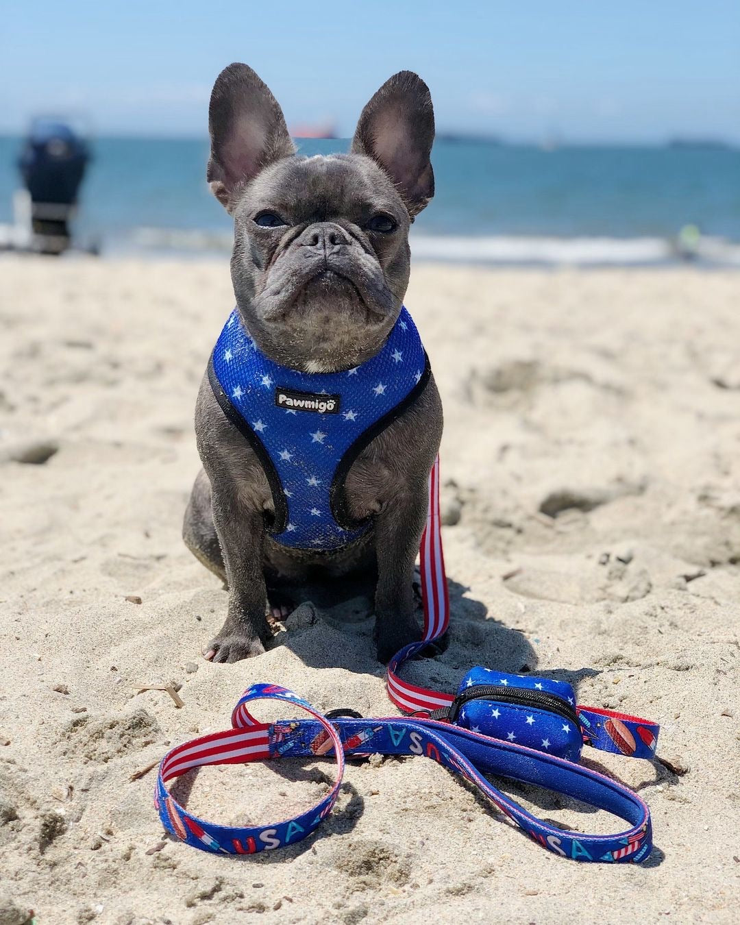Red, White & Bark Leash Kit - Southlake Paws