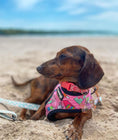 Load image into Gallery viewer, Slumber Pawty Reversible Harness - Southlake Paws
