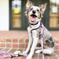 Load image into Gallery viewer, Slumber Pawty Reversible Harness - Southlake Paws
