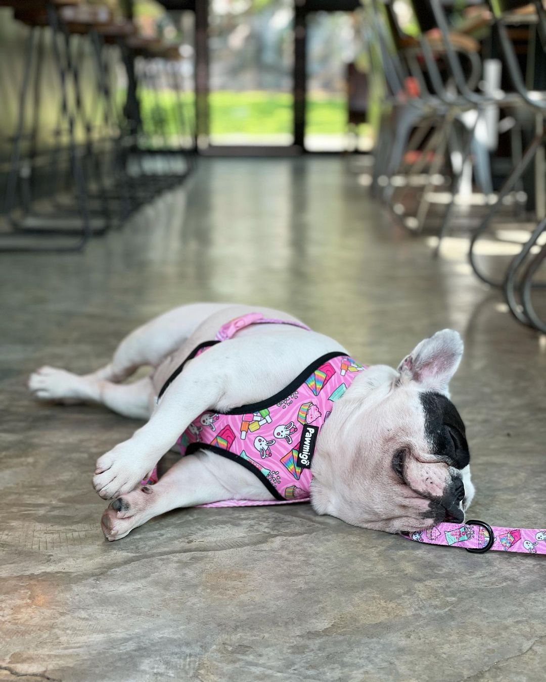 Slumber Pawty Reversible Harness - Southlake Paws