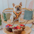 Load image into Gallery viewer, Snack Shack Reversible Harness - Southlake Paws
