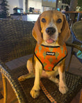 Load image into Gallery viewer, Succa For You Reversible Harness - Southlake Paws
