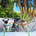 Load image into Gallery viewer, Tie-Dye For Reversible Harness - Southlake Paws
