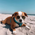 Load image into Gallery viewer, Tie-Dye For Reversible Harness - Southlake Paws
