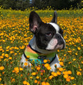 Load image into Gallery viewer, Tie-Dye For Reversible Harness - Southlake Paws
