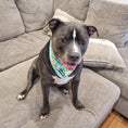 Load image into Gallery viewer, Worth The Squeeze Cooling Bandana - Southlake Paws
