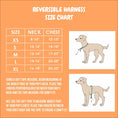 Load image into Gallery viewer, Frootie Patootie Reversible Harness - Southlake Paws
