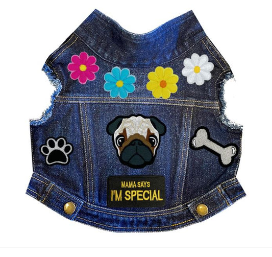 Paws & Petals Spring Denim Jacket alternate view