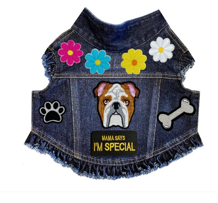 Paws & Petals Spring Denim Jacket alternate view