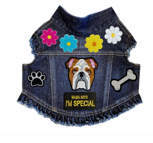 Paws & Petals Spring Denim Jacket alternate view