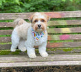 Load image into Gallery viewer, Peace Love Pride Bandana

