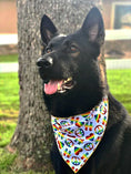 Load image into Gallery viewer, Peace Love Pride Bandana
