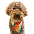 Load image into Gallery viewer, Sport Bandana - Peace
