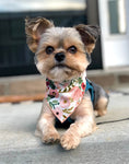 Load image into Gallery viewer, Peach Flower Bandana
