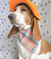 Peach Luxe Flannel Dog Bandana