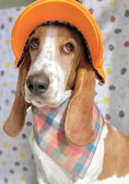 Load image into Gallery viewer, Peach Luxe Flannel Dog Bandana
