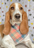 Load image into Gallery viewer, Peach Luxe Flannel Dog Bandana
