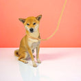 Load image into Gallery viewer, Rope Leash - Southlake Paws
