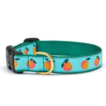 Peachy Narrow Dog Collar