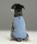 Load image into Gallery viewer, CHILL VEST SHIRT - BLUE
