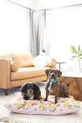 Load image into Gallery viewer, Penelope Dog Bed
