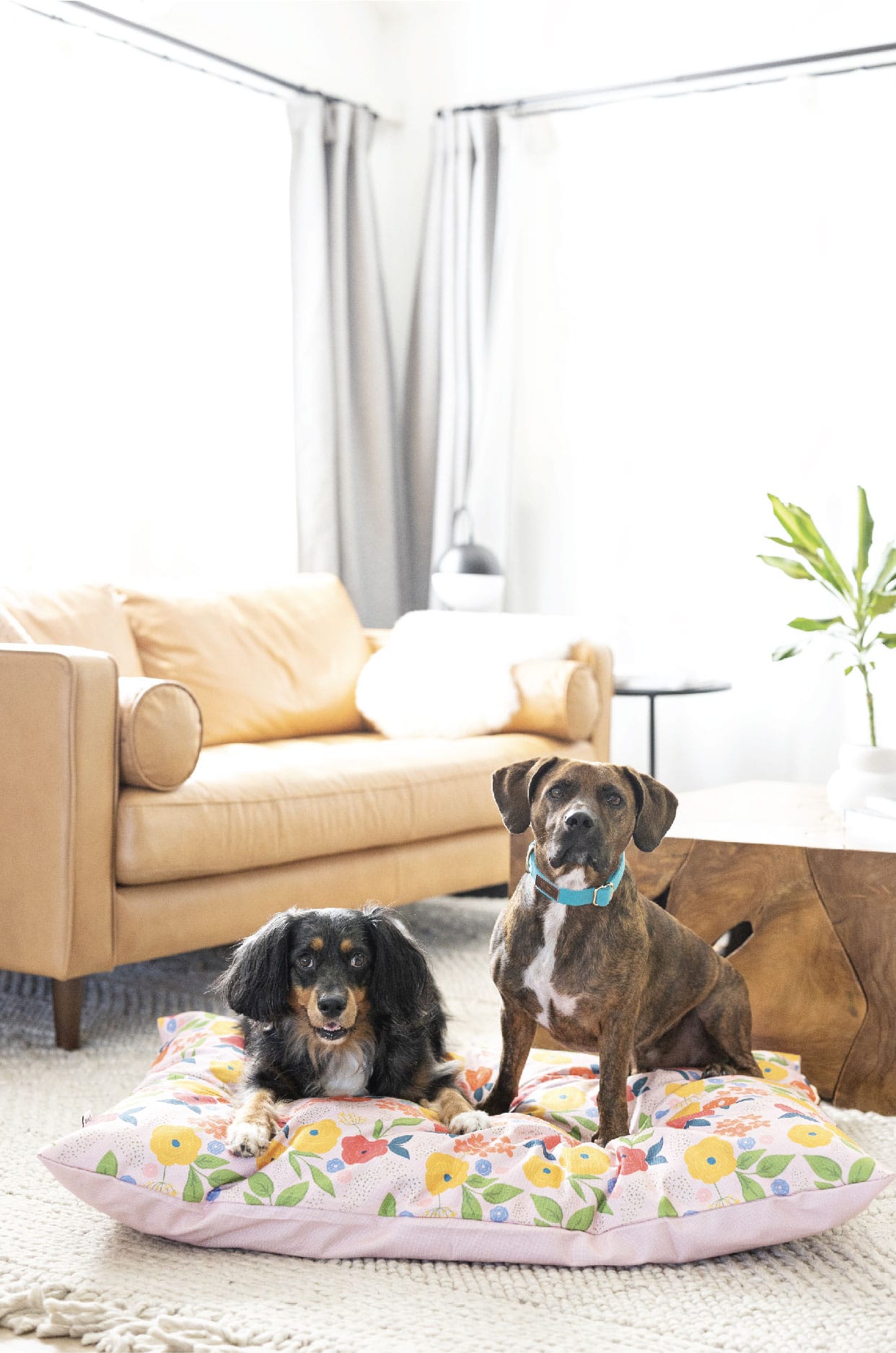 Penelope Dog Bed