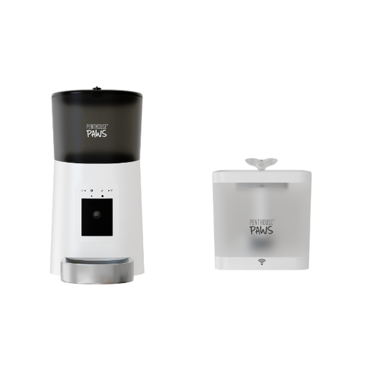 Smart HD Feeder & Water Fountain