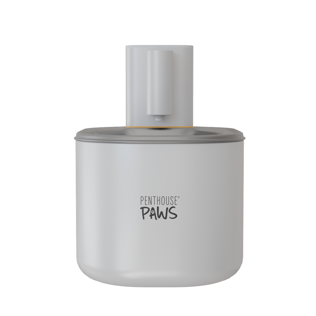 Shop Automatic Pet Feeder | Penthouse