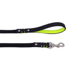 Personalized Scale & Fluo Dog Leash