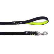 Personalized Scale & Fluo Dog Leash