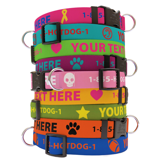 Personalized Solid Colored Collar