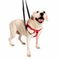 Load image into Gallery viewer, Red Freedom No-Pull Dog Harness
