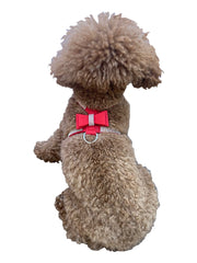 Bow Tie Dog Harness in Pleather, Red