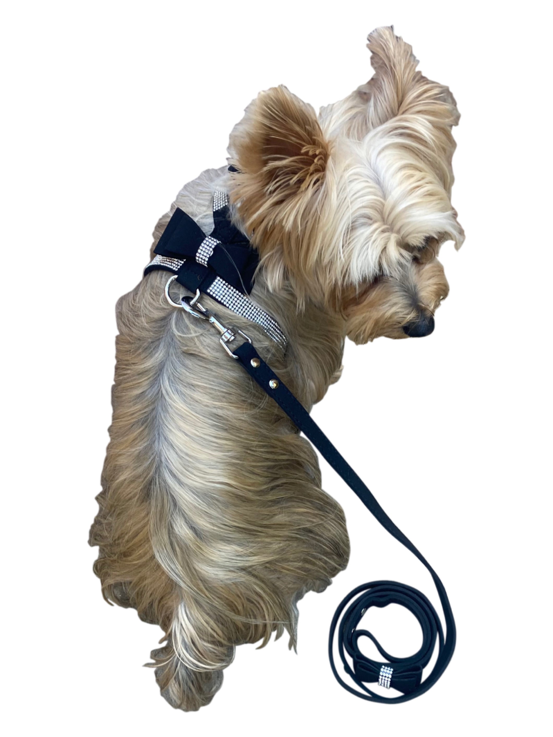 Bow Tie Dog Harness in Pleather, Black